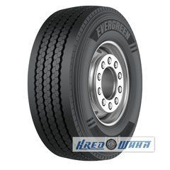Evergreen ETR31 (прицепная) 385/65 R22.5 164K PR24 (400148)
